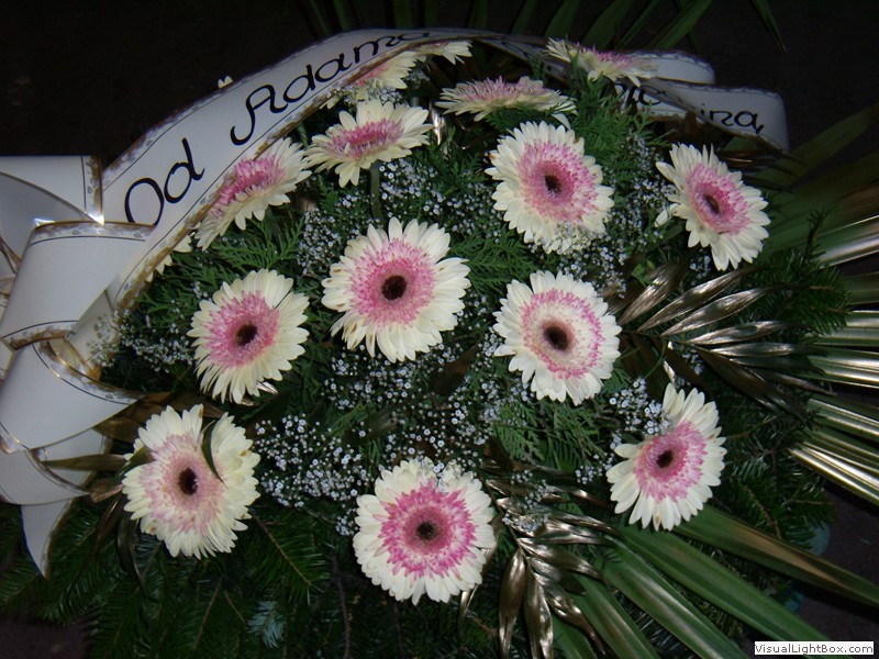 Oprawa kwiatowa pogrzebów Bielsko-Biała
